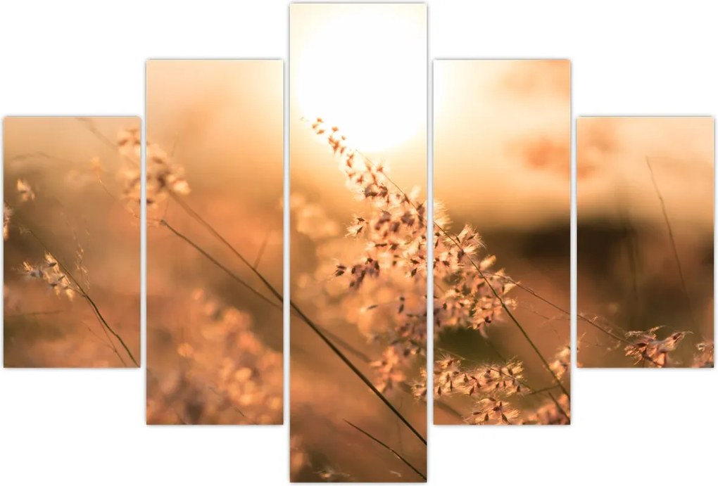 Tablou - Iarbă la soare (150x105 cm)