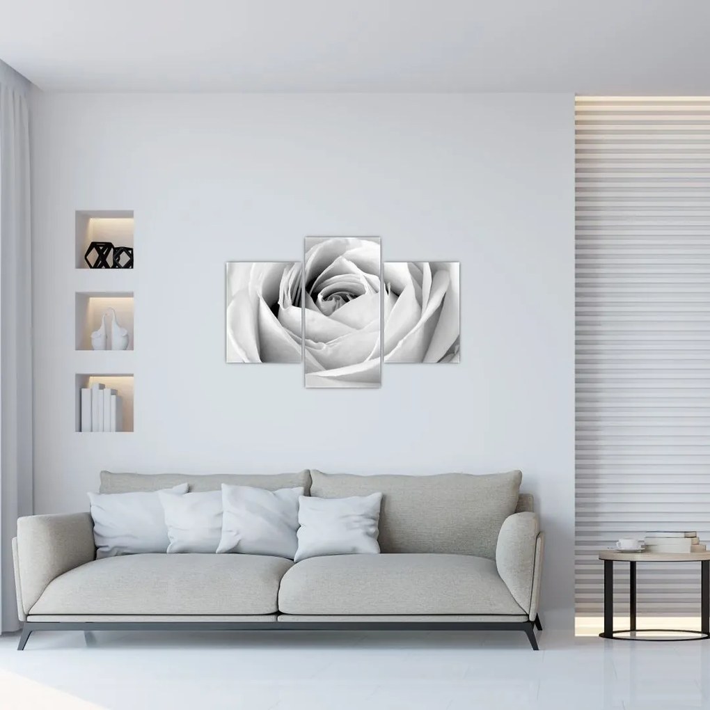 Tablou - Detailu de floare de trandafir (90x60 cm)