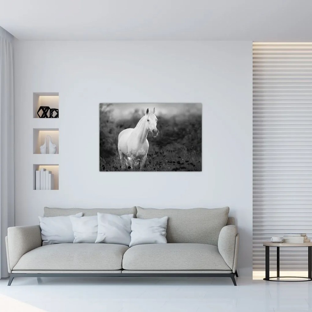 Tablou - Cal alb în poină (90x60 cm)