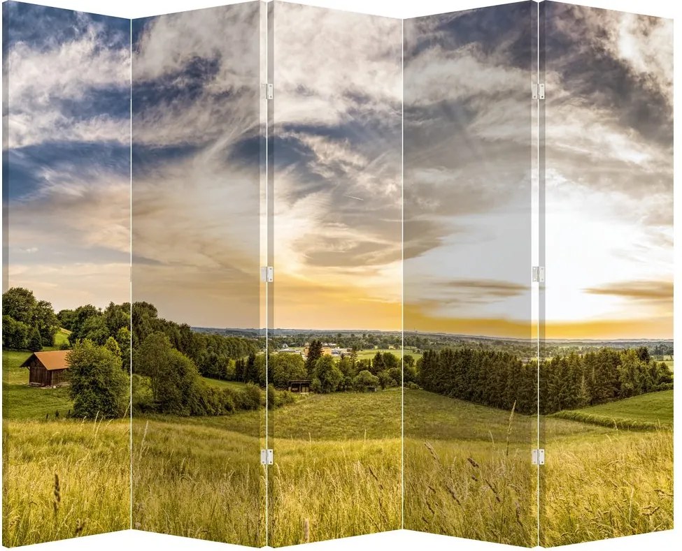 Paravan - Peisaj (210x170 cm)