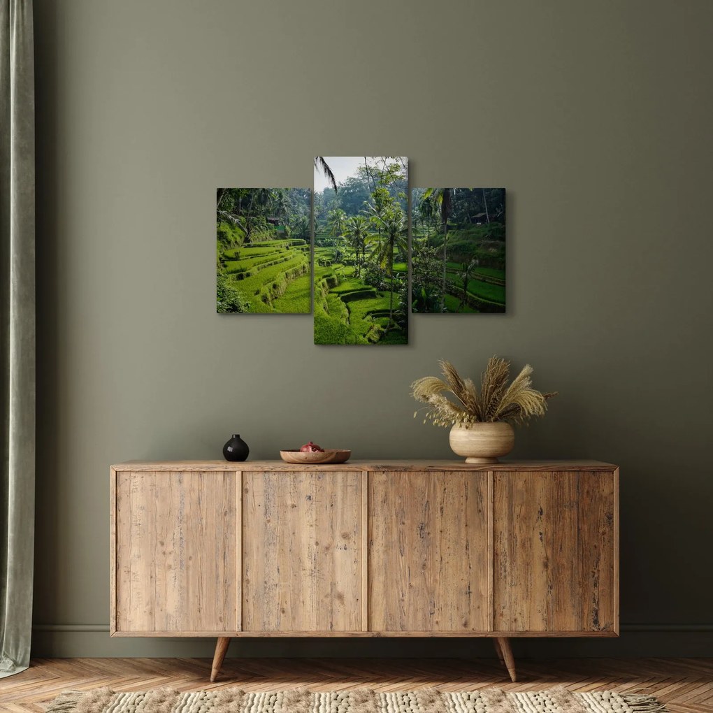 Tablou cu terasele cu orez Tegalalang, Bali (90x60 cm)