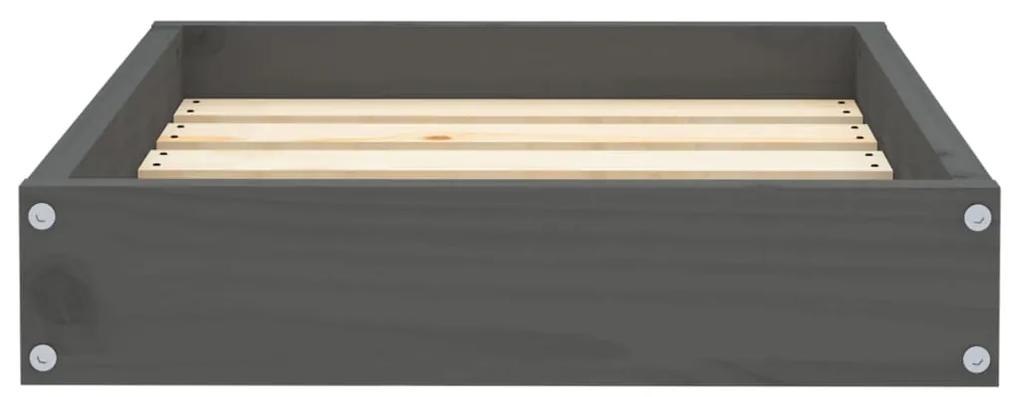 Pat pentru caini, gri, 51,5x44x9 cm, lemn masiv de pin Gri