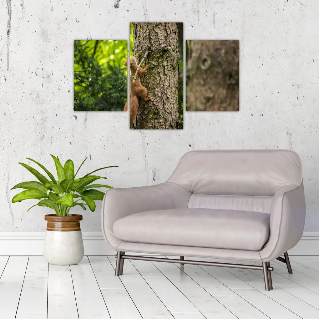 Tablou - Veverița (90x60 cm)