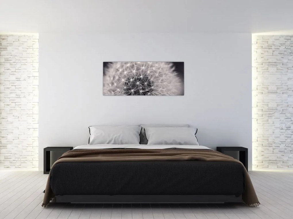 Tablou cu păpădie (120x50 cm)
