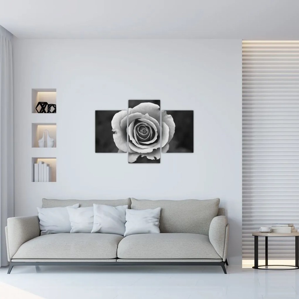 Tablou - Trandafir (90x60 cm)