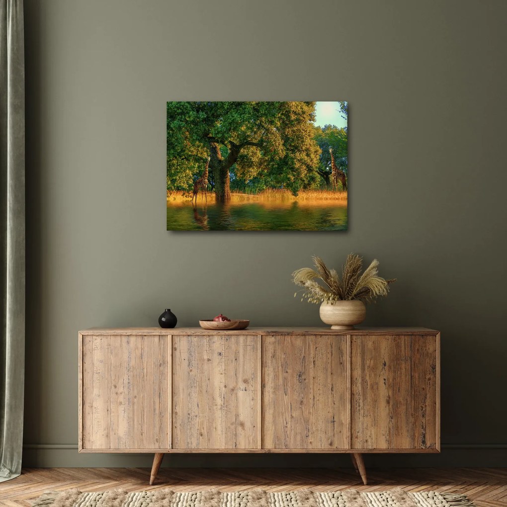 Tablou cu girafe în natură (70x50 cm)
