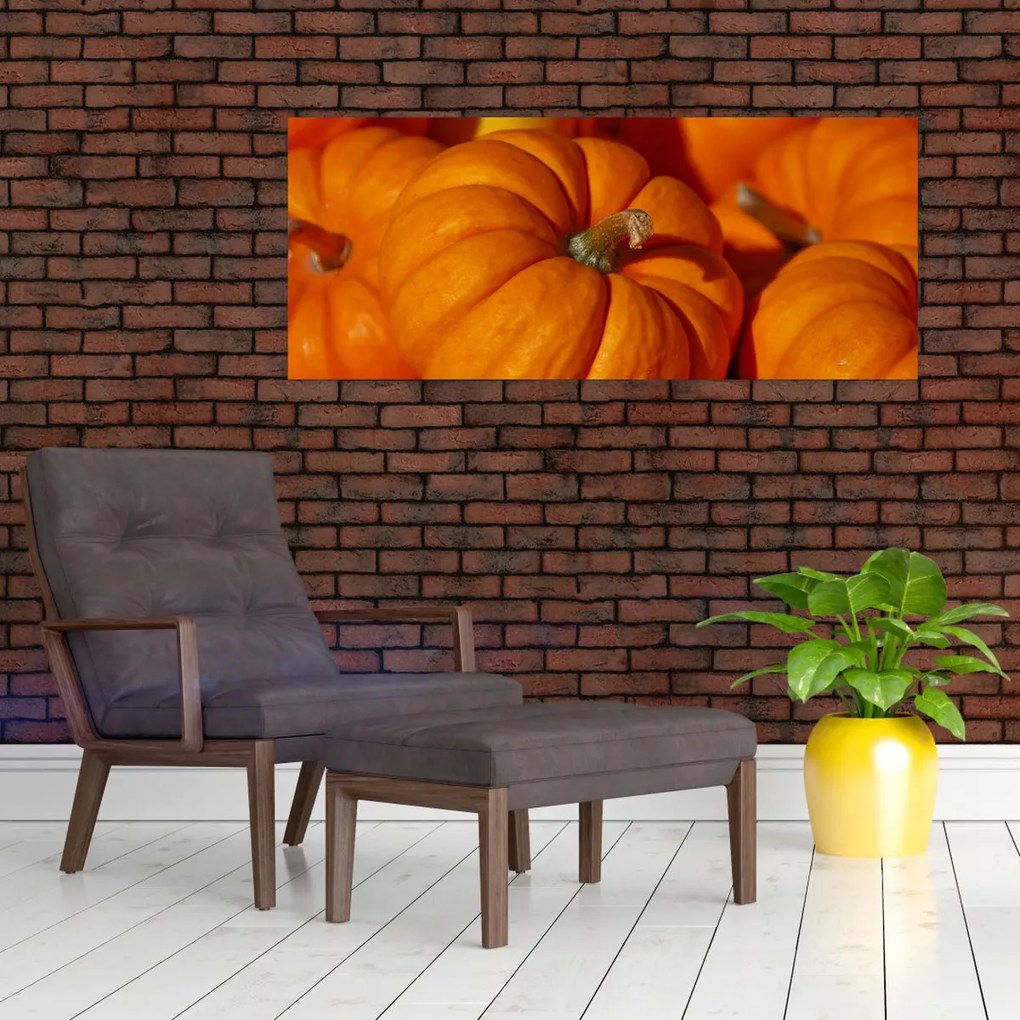 Tablou - Dovleci mari (120x50 cm)