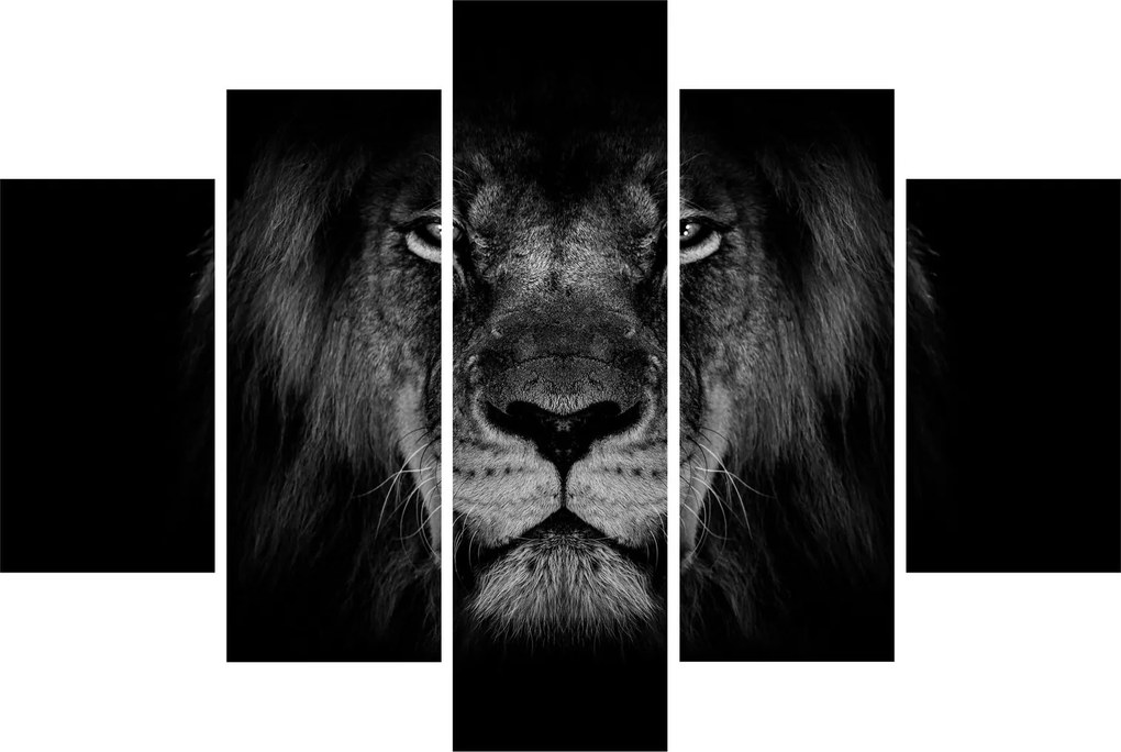 Tablou - Leu majestic (150x105 cm)