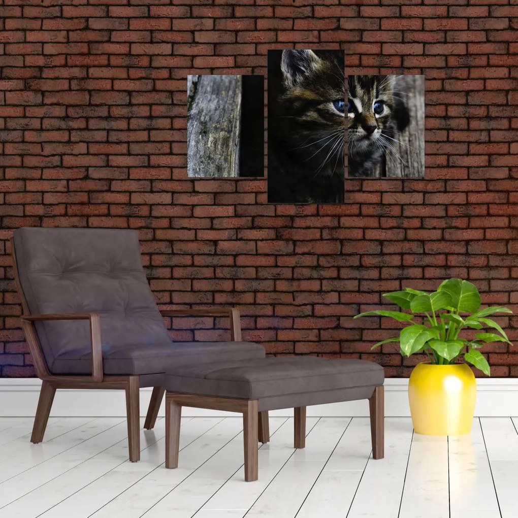 Tablou cu pisicuța (90x60 cm)