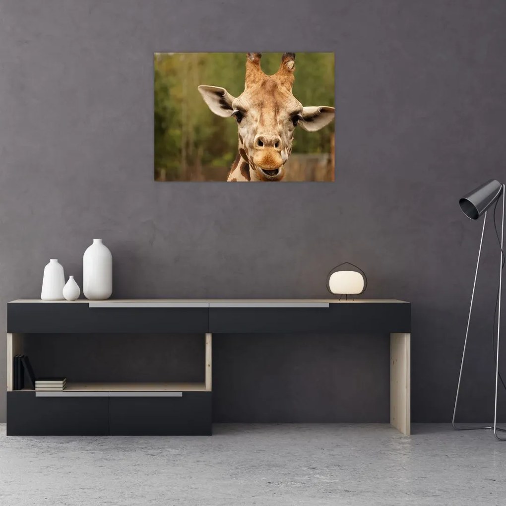 Tablou girafe (70x50 cm)