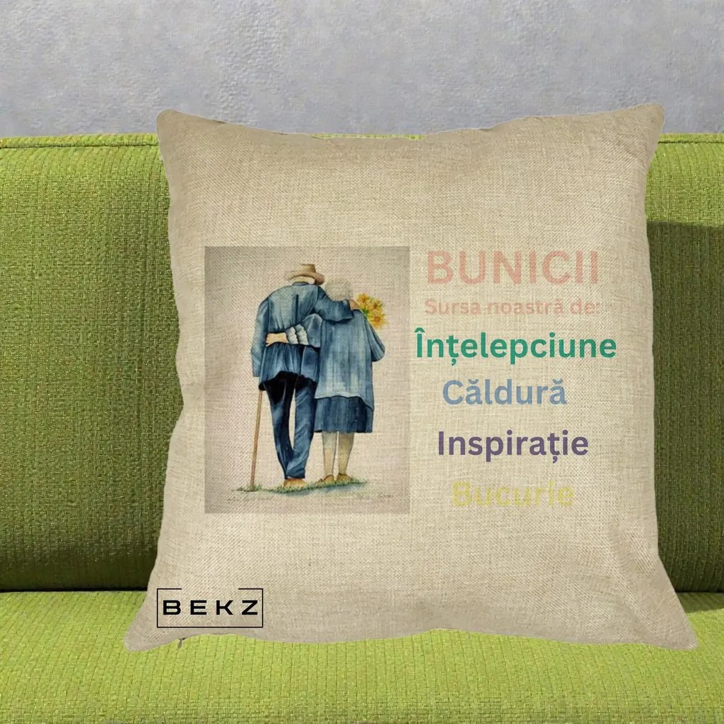 Cadou pentru Bunici - Perna Personalizata Bunicii Sursa Intelepciune Caldura Acuarela, 40x40 cm, Crem, Husa Detasabila, Perna Inclusa, BEKZ®