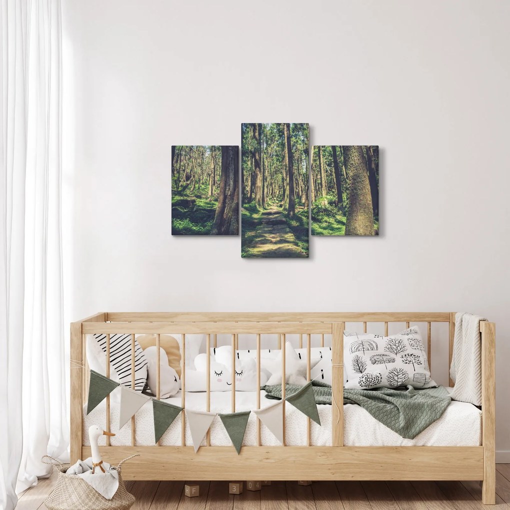 Tablou cu drum între copaci (90x60 cm)