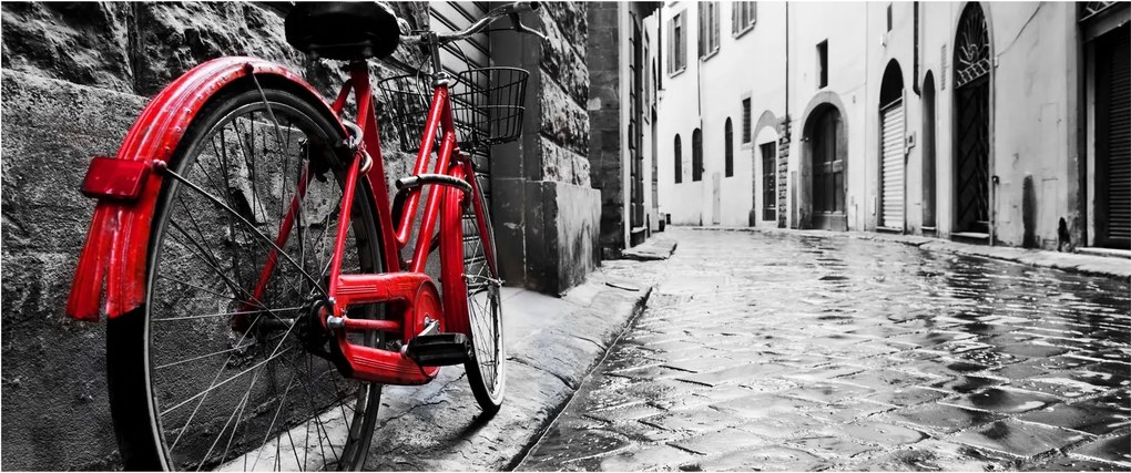 Tablou - Bicicleta roșie pe o stradă pavată (120x50 cm)