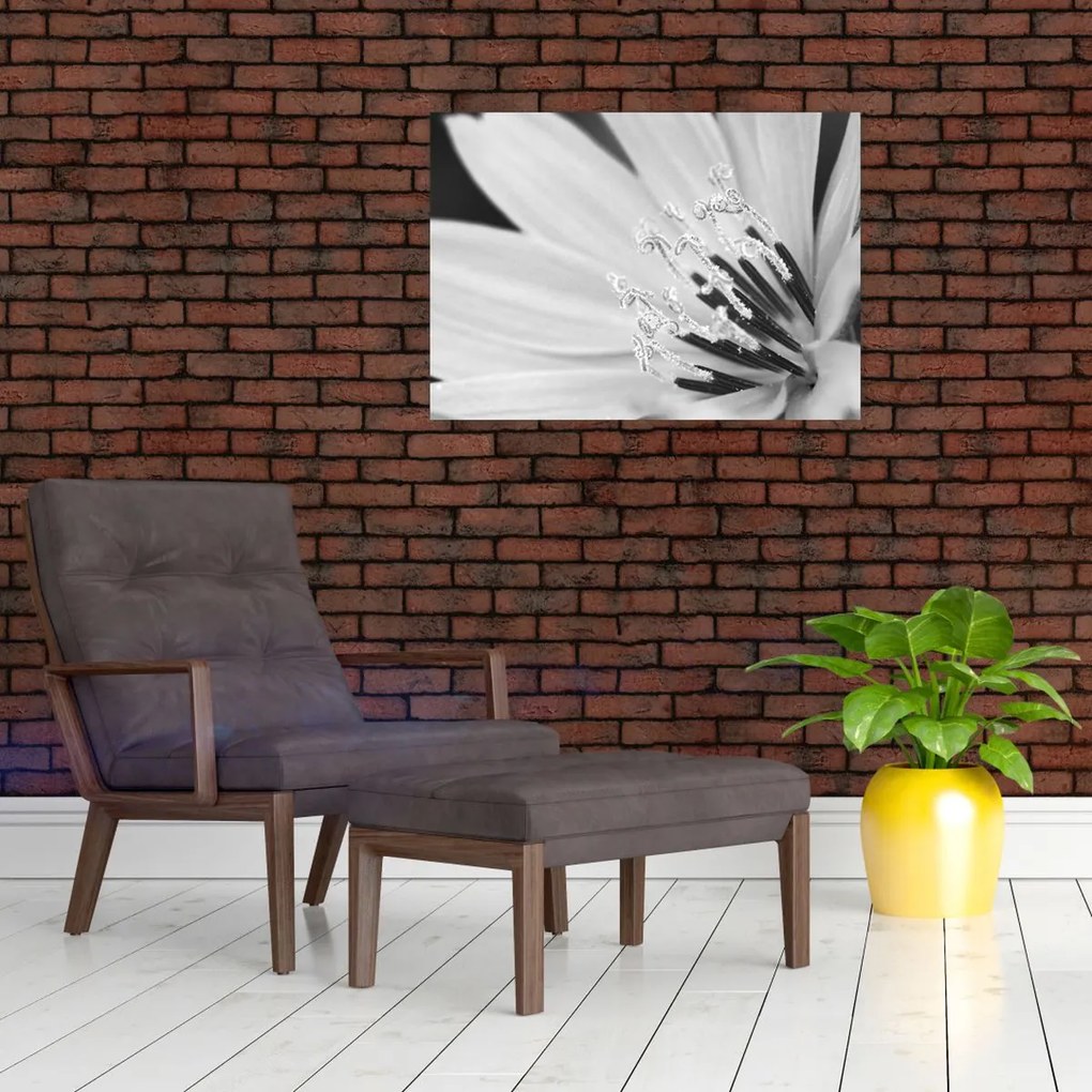 Tablou pe sticlă - Floare albă și neagră (70x50 cm)