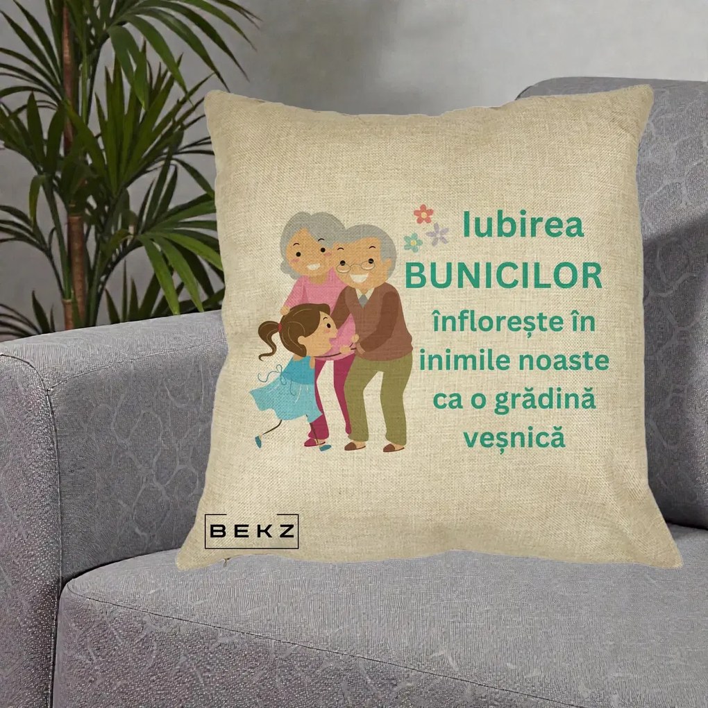 Cadou pentru Bunici - Perna Personalizata Bunicii Iubirea Infloreste cu Nepoata Teal, 40x40 cm, Crem, Husa Detasabila, Perna Inclusa, BEKZ®