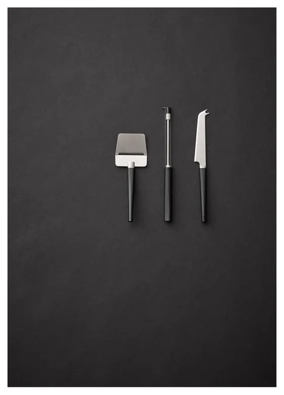 Set de cuțite din oțel inoxidabil pentru brânzeturi 3 buc. Emma – Rosti