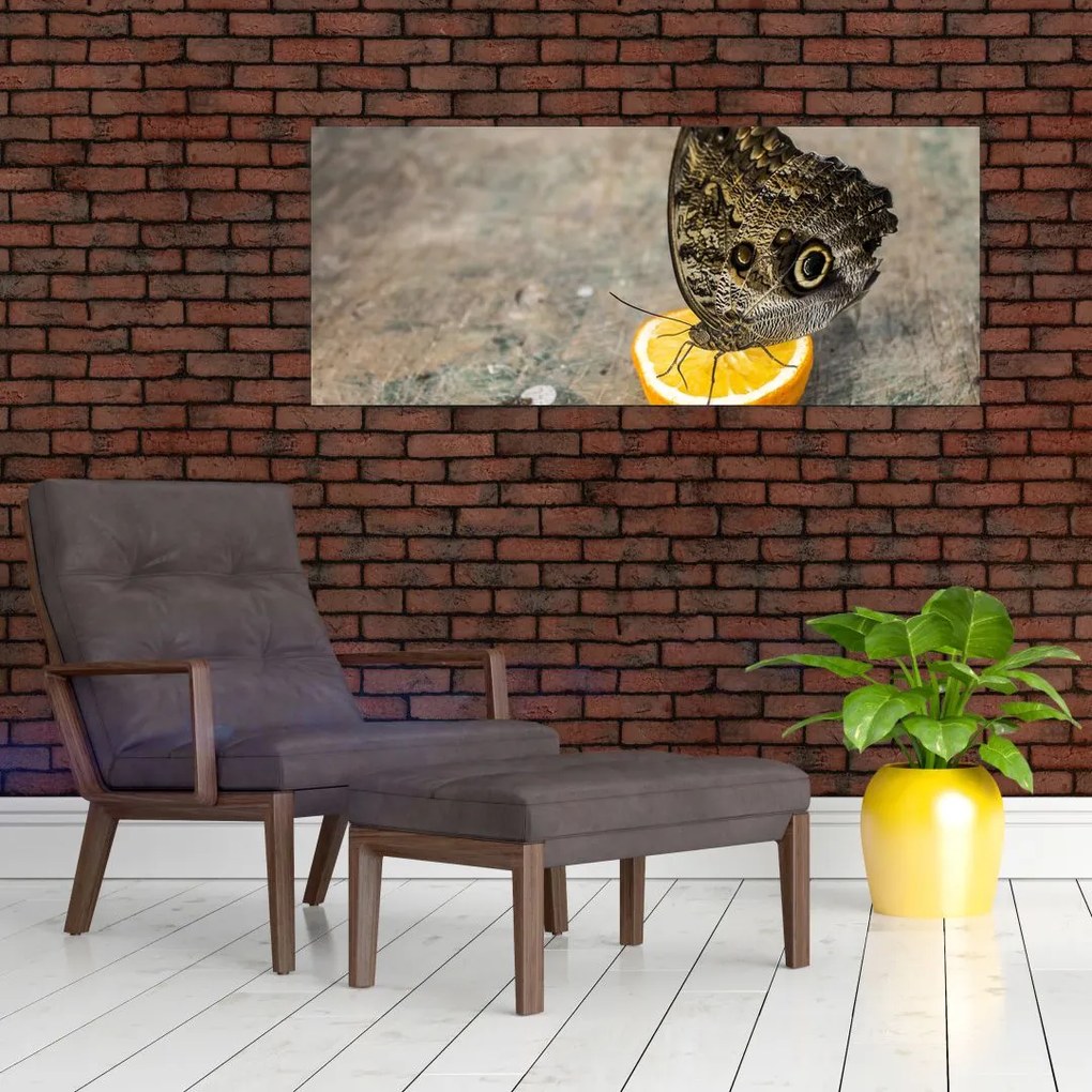 Tablou cu fluturi (120x50 cm)