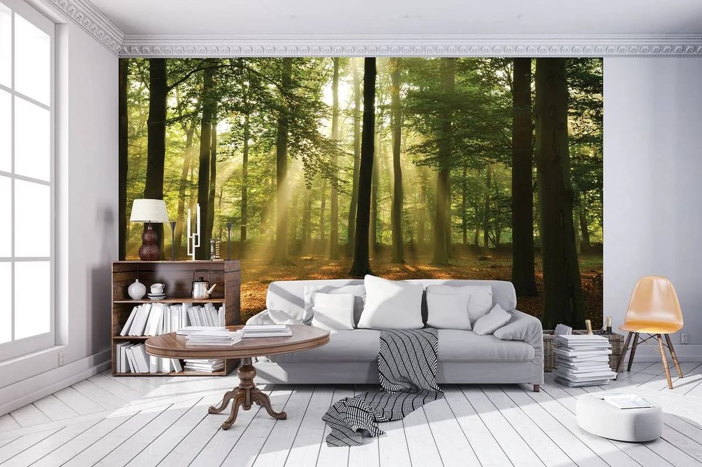 Fototapet - Pădurea în lumina zilei (152,5x104 cm)