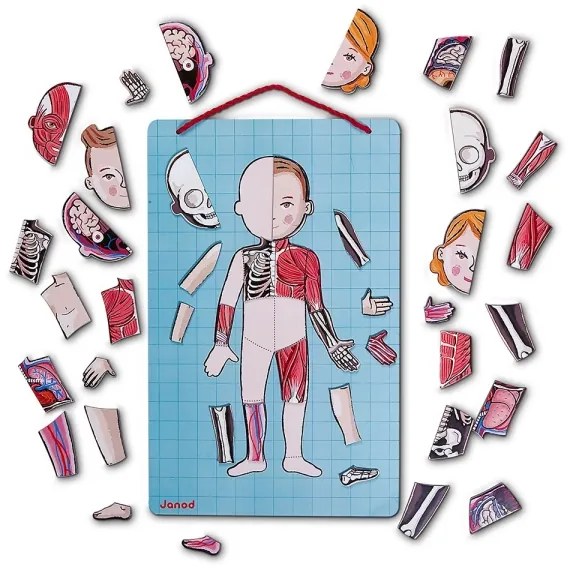 Janod - Puzzle magnetic BODYMAGNET corp uman