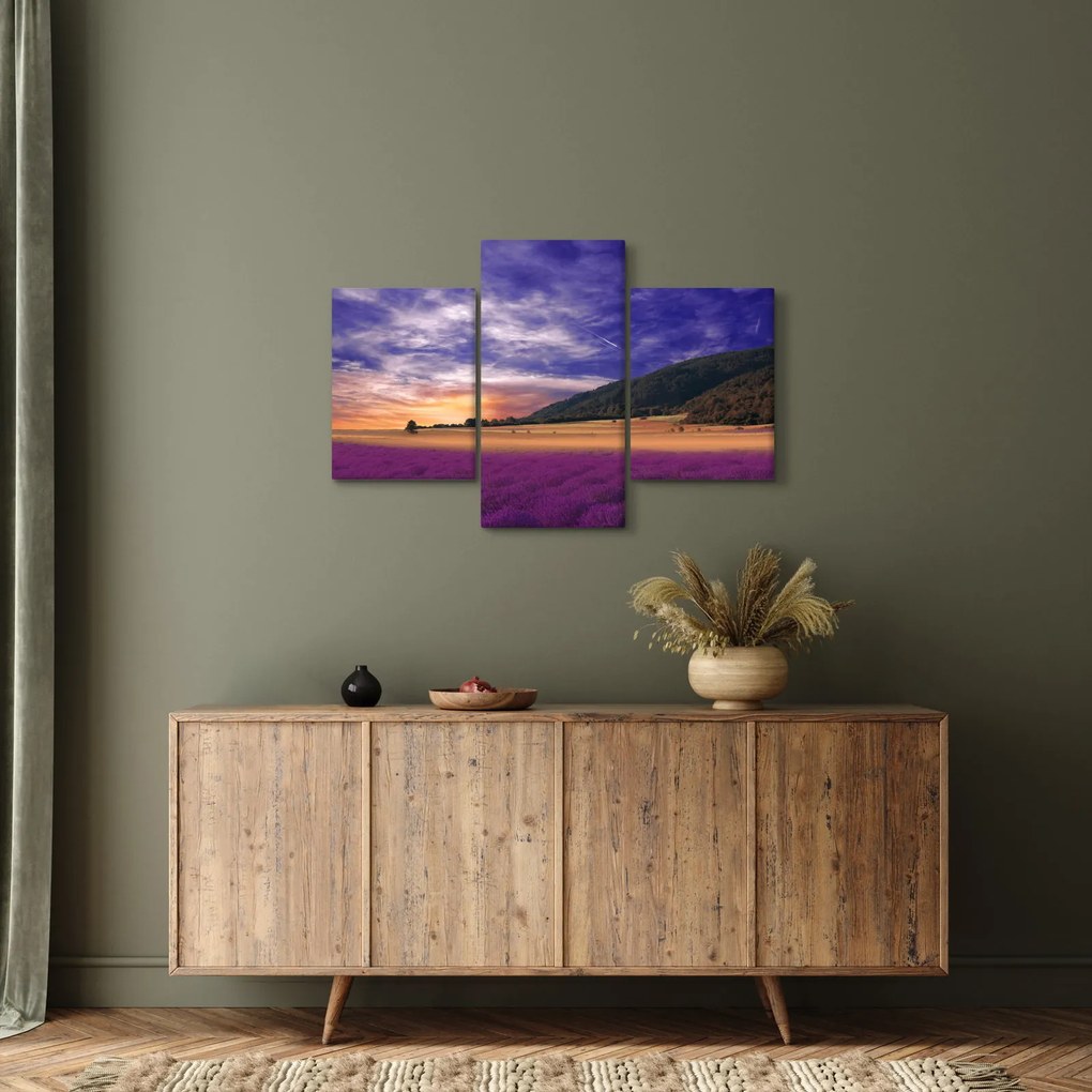 Tablou cu lunca cu lavandă (90x60 cm)