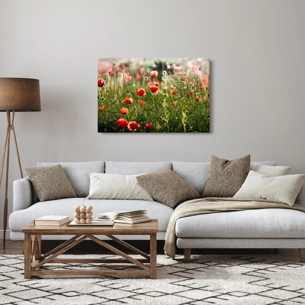 Tablou cu maci (90x60 cm)