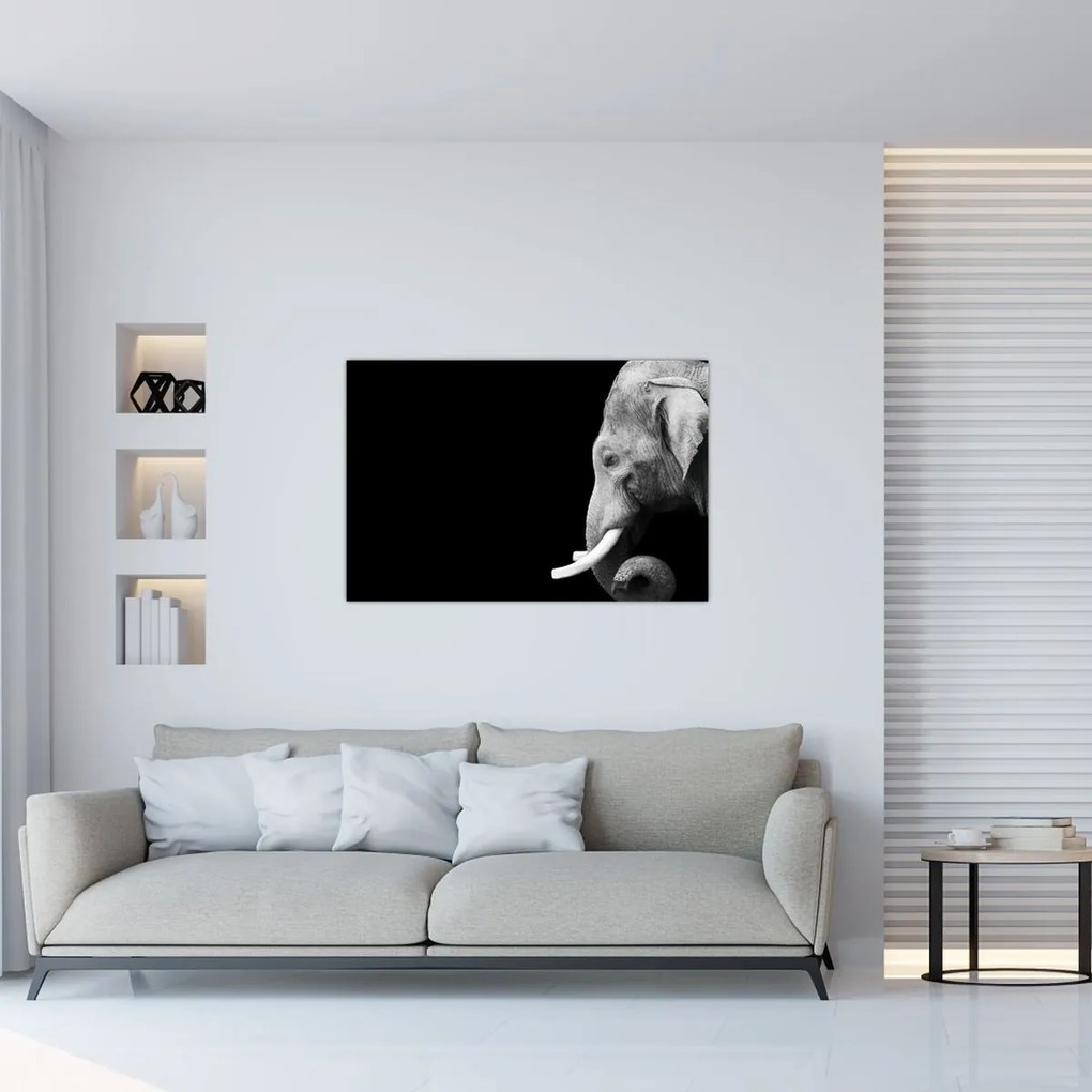 Tablou - Elefant (90x60 cm)