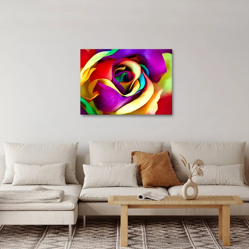Tablou - Trandafir colorat (70x50 cm)