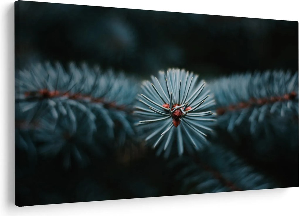 Tablou -Crenguțe ale unui conifer (90x60 cm)
