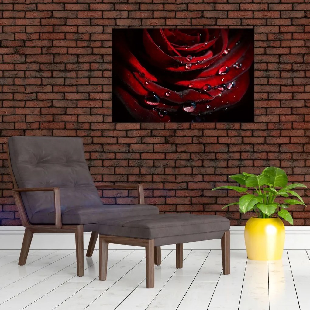 Tablou - Trandafir (90x60 cm)