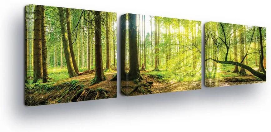 GLIX Tablou - Spring Forest II 3 x 25x25 cm
