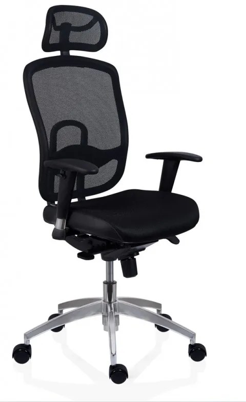 Scaun Ergonomic Oklahoma PDH