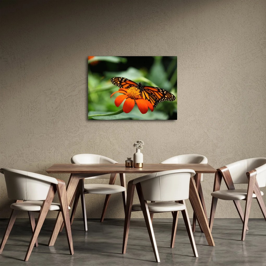 Tablou cu fluture pe floare (70x50 cm)