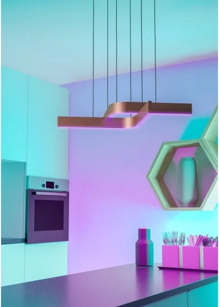 Eglo 901864 - Lustră suspendată pe cablu LED RGBW FOLCINO-Z 2xLED/18W/230V cu dimmer cupru/negru