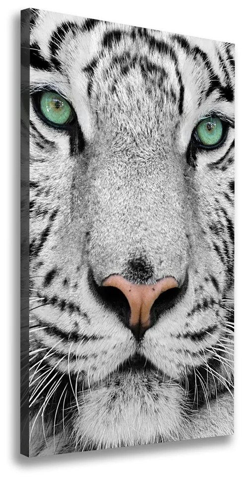 Pictură pe pânză Tigru alb
