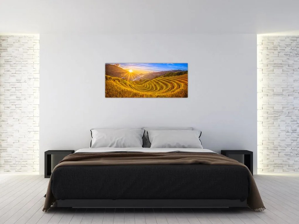 Tablou - Terasele de orez din Vietnam (120x50 cm)