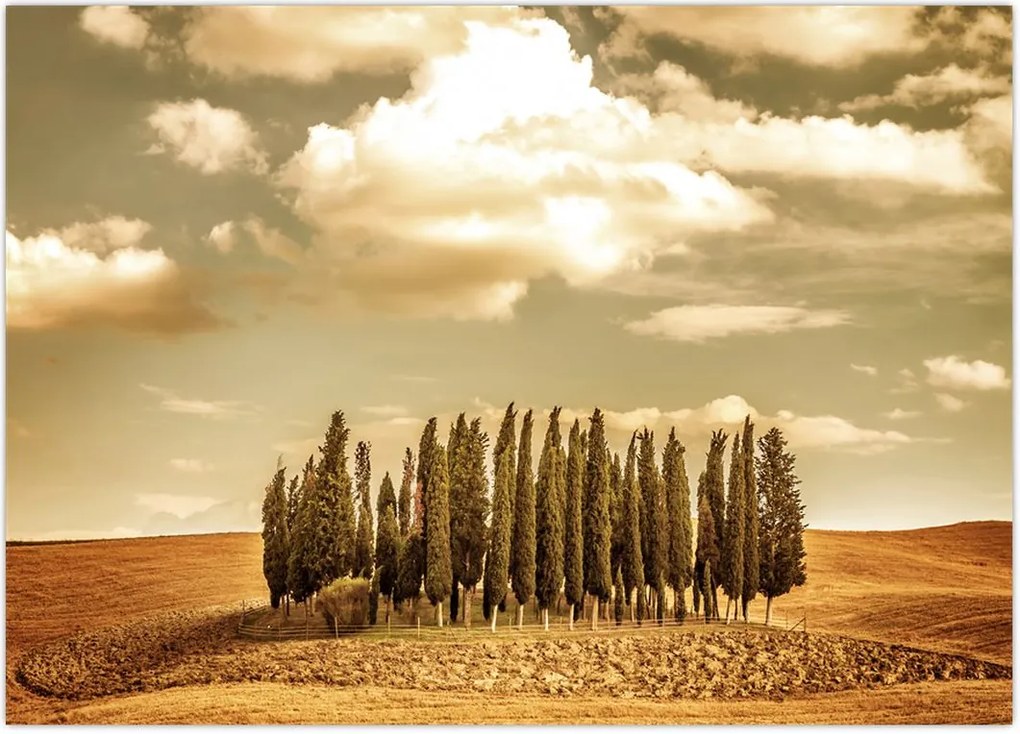 Tablou cu luncă (70x50 cm)