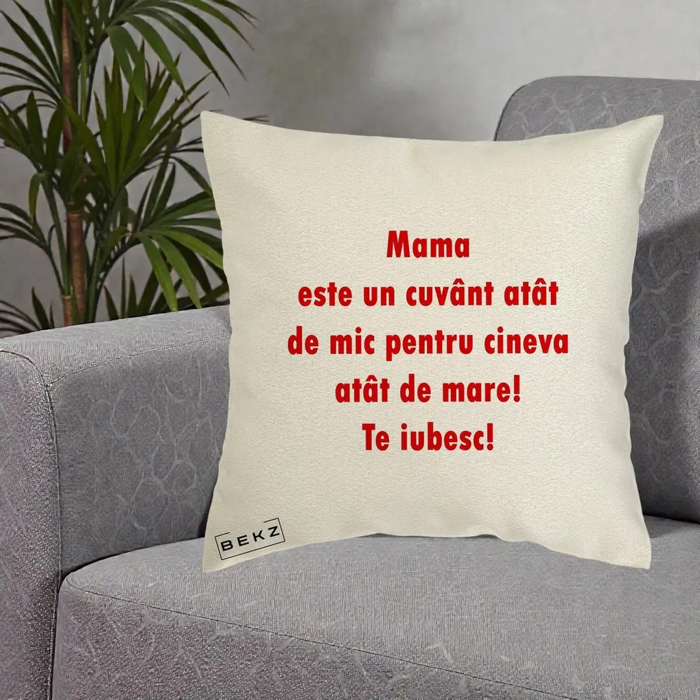 Cadou pentru Mama - Perna Personalizata Mama Cuvant Mic, 40x40 cm, Ecru, Husa Detasabila, Perna Inclusa, BEKZ®