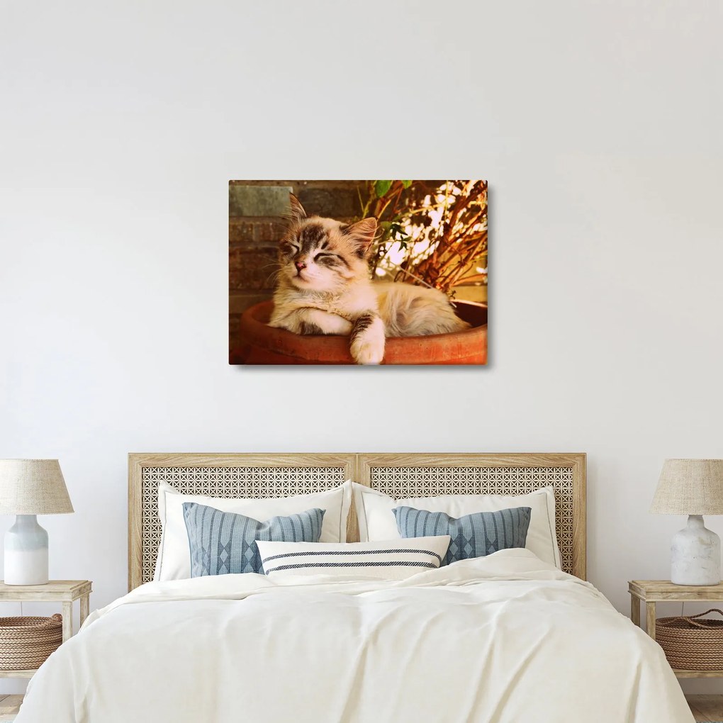 Tablou cu pisica în ghiveci (70x50 cm)