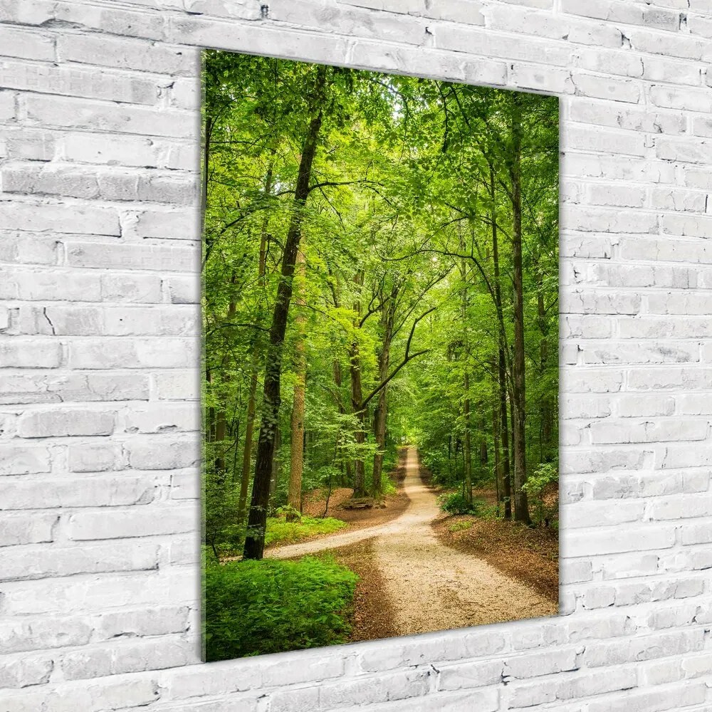 Fotografie imprimată pe sticlă Calea în pădure