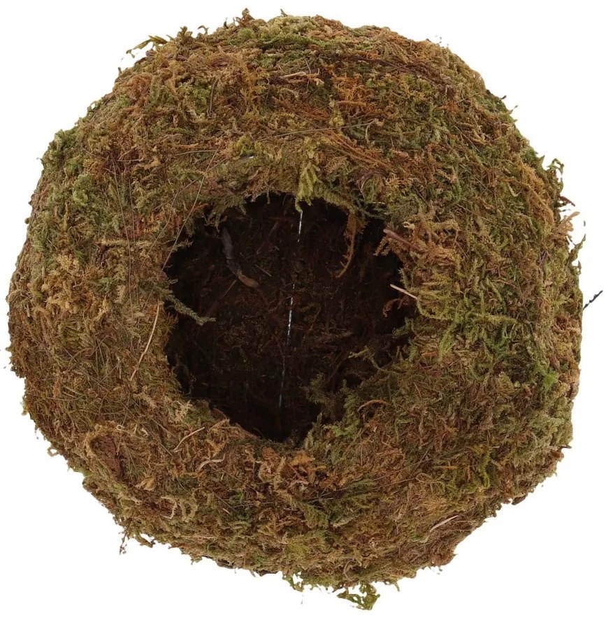 Ghiveci ø 14,5 cm Kokedama – Esschert Design