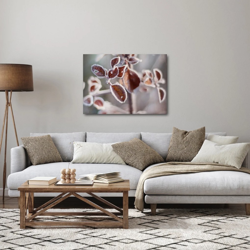 Tablou - Detaliu frunze (70x50 cm)