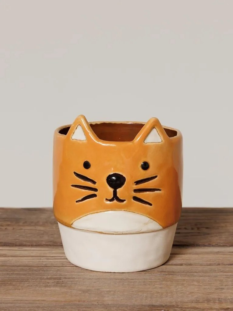 Ghiveci de plante din ceramica, Cat