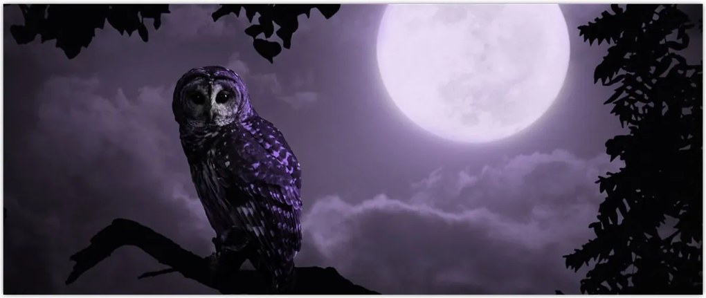 Tablou - Bufniță de noapte, violet (120x50 cm)