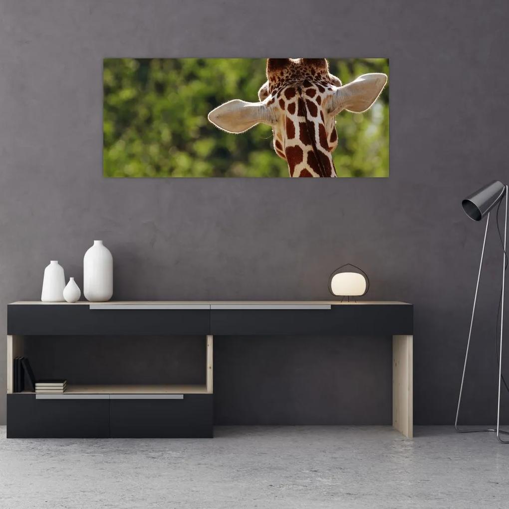 Tablou cu girafă din spate (120x50 cm), în 40 de alte dimensiuni noi
