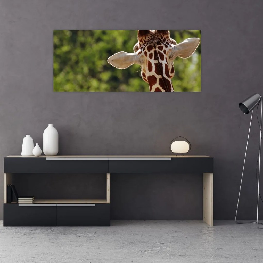 Tablou cu girafă din spate (120x50 cm)