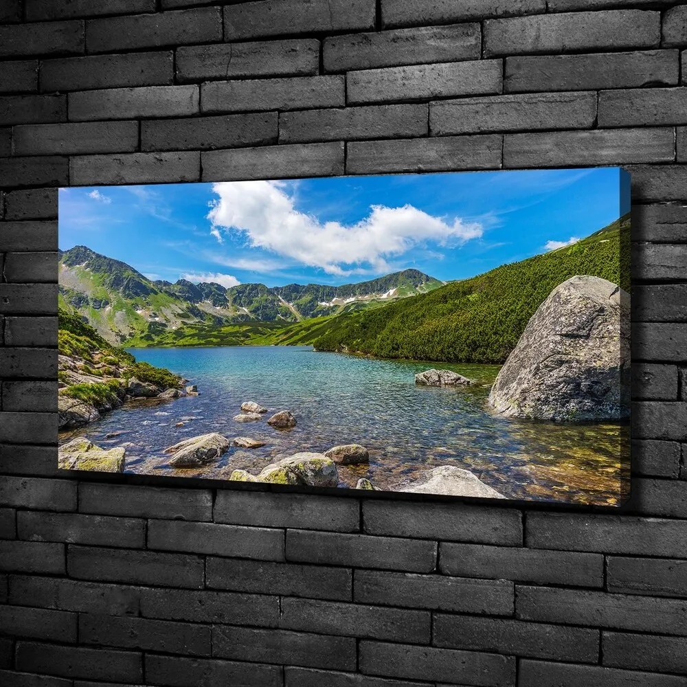 Print pe canvas Tatra valley