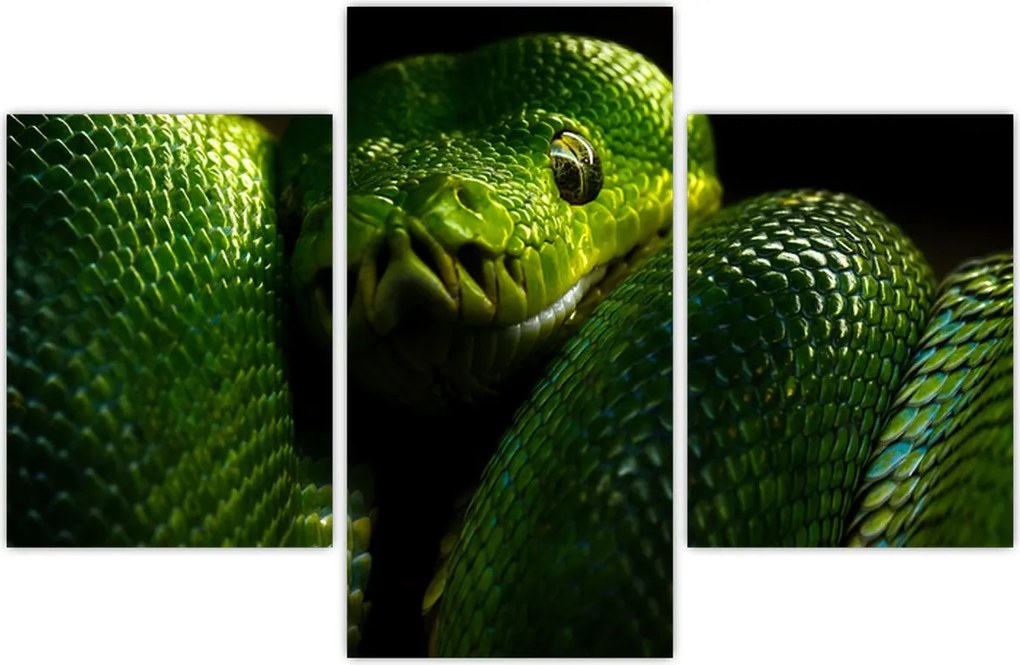 Tablou - Șarpele verde (90x60 cm)