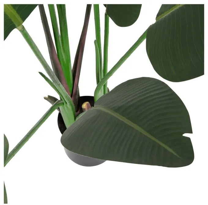 Strelitzia artificială (înălțime 164 cm) – WOOOD