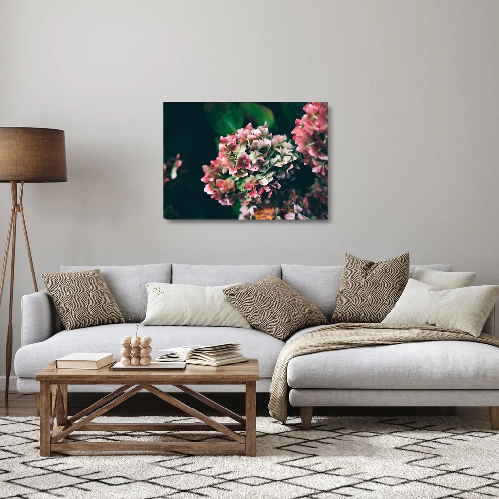 Tablou pe sticlă - Hortensie (70x50 cm)