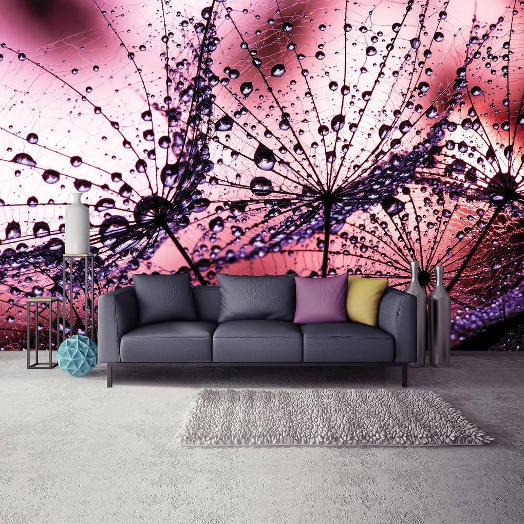 Fototapet - Păpădii - abstracte - violete (152,5x104 cm), în 8 de alte dimensiuni noi